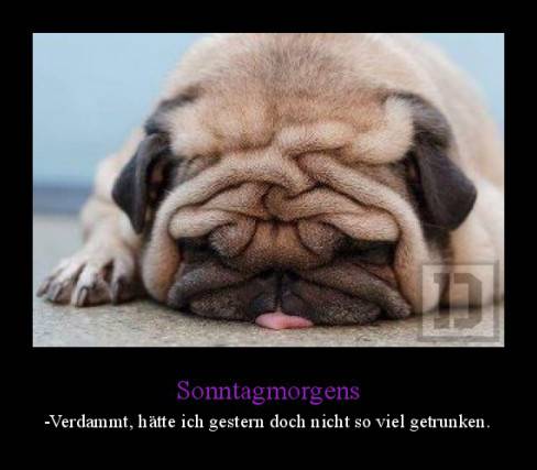 Sonntagmorgens