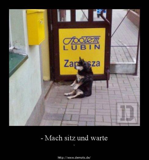 - Mach sitz und warte