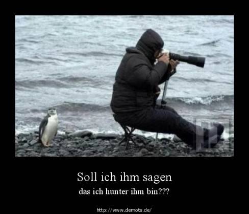 Soll ich ihm sagen