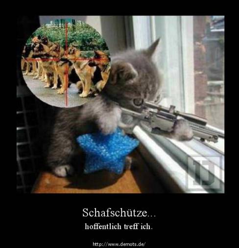Schafschütze...