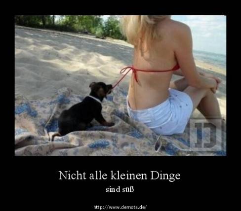 Nicht alle kleinen Dinge