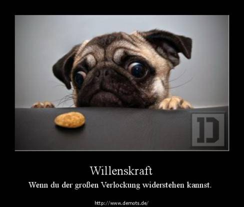 Willenskraft