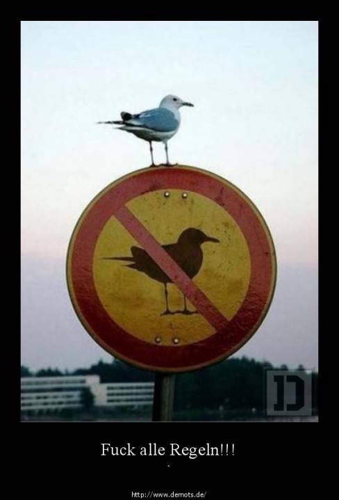 Fuck alle Regeln!!!