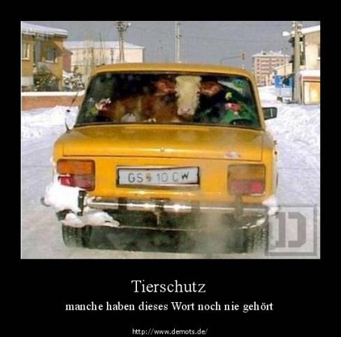 Tierschutz