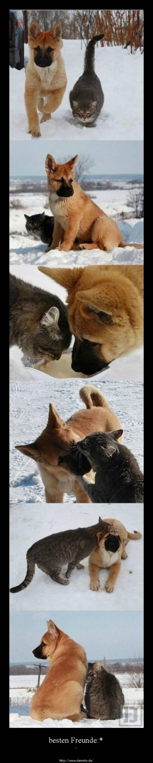 besten Freunde:*