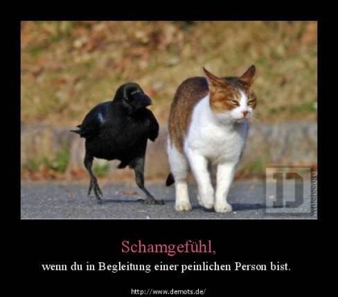 Schamgefühl,
