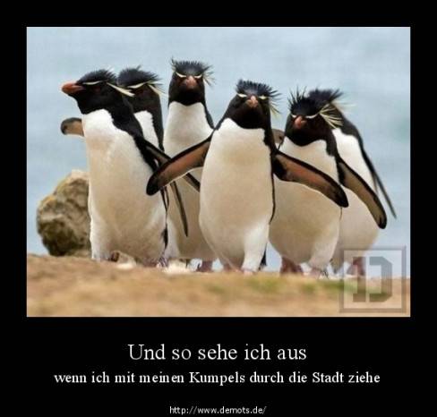 Und so sehe ich aus