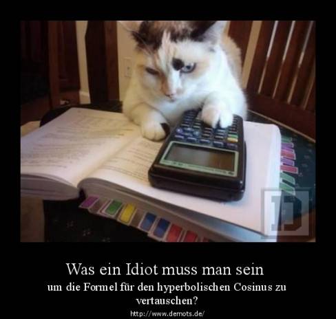 Was ein Idiot muss man sein