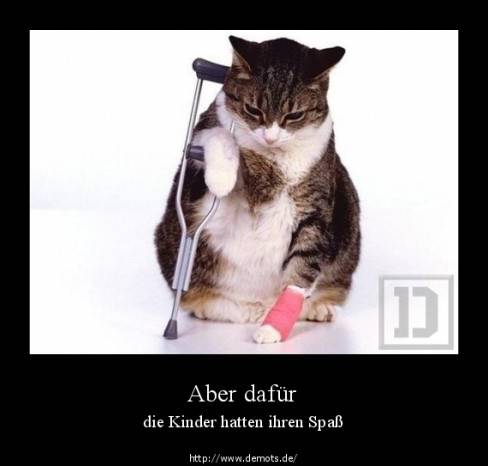 Aber dafür