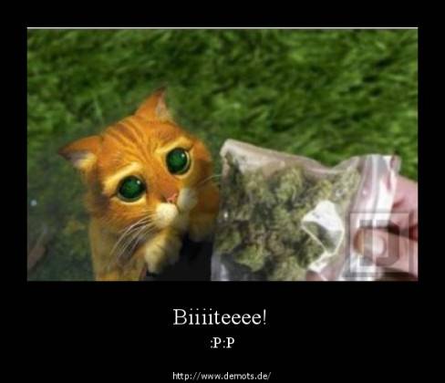 Biiiiteeee!