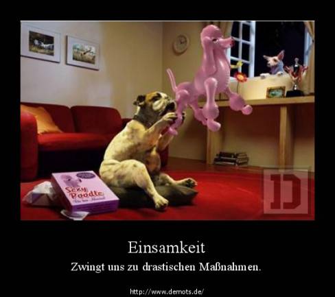 Einsamkeit