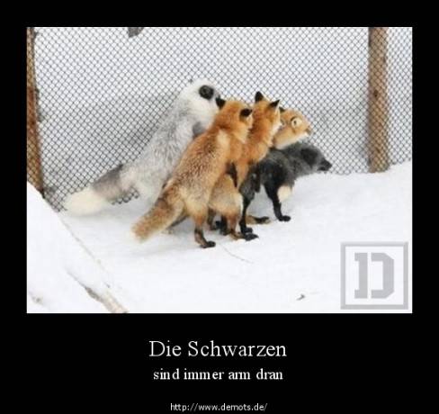 Die Schwarzen
