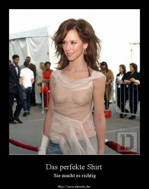Das perfekte Shirt