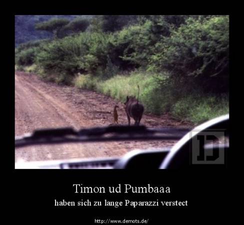 Timon ud Pumbaaa