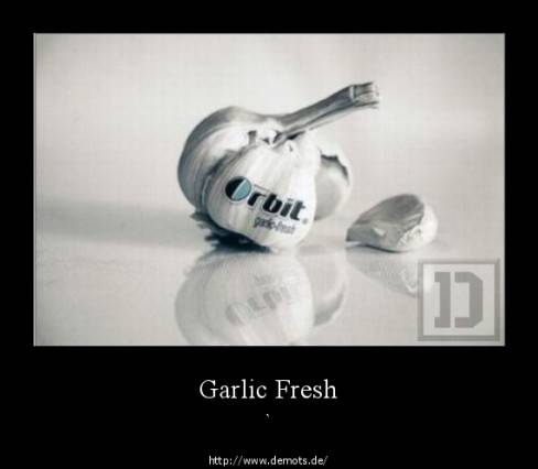 Garlic Fresh