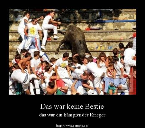 Das war keine Bestie