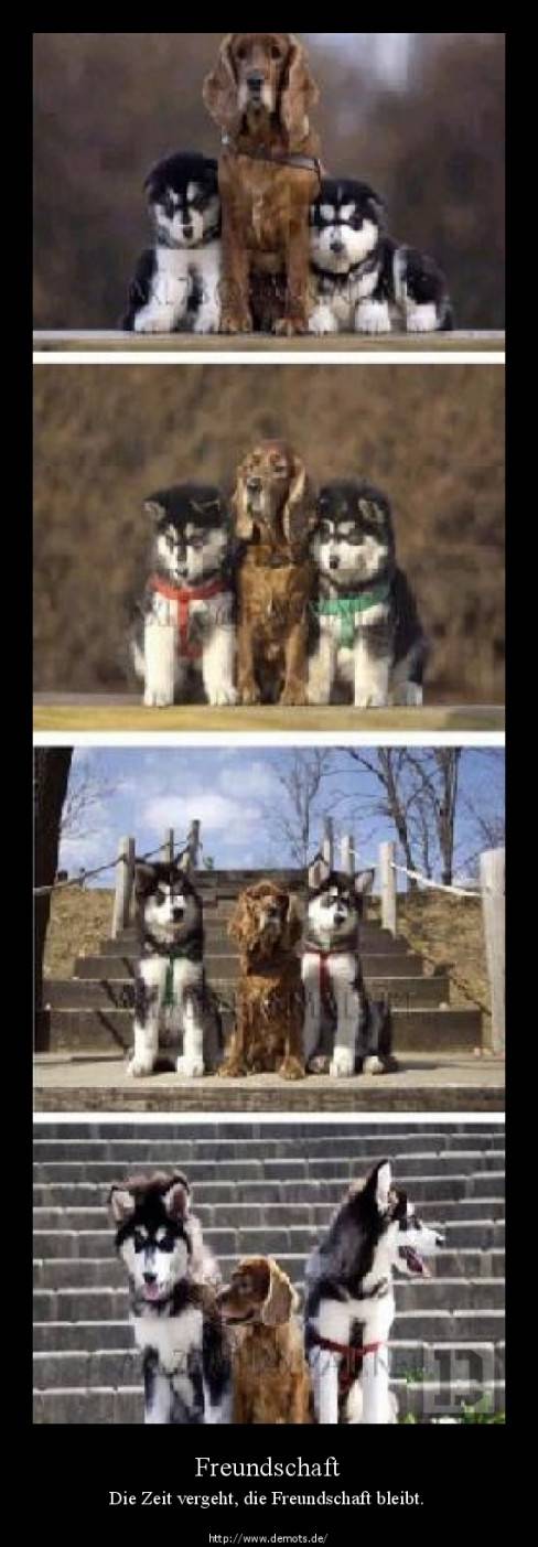 Freundschaft