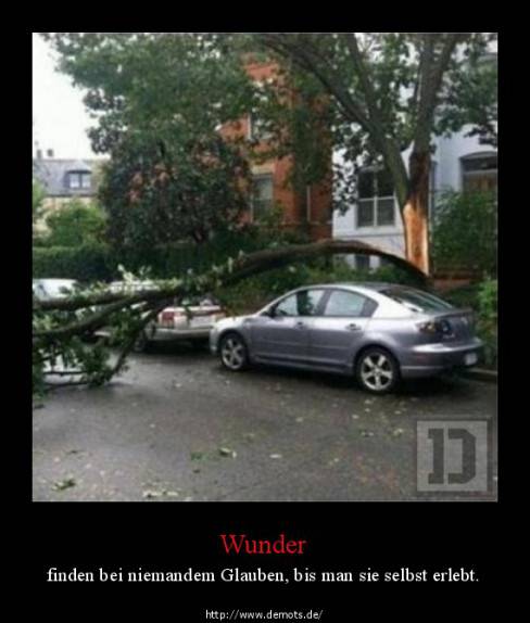Wunder