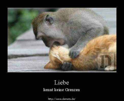 Liebe