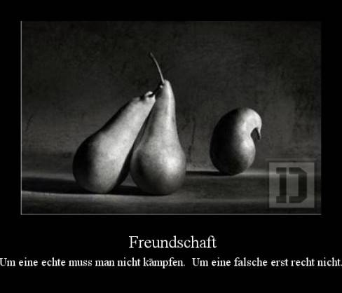 Freundschaft