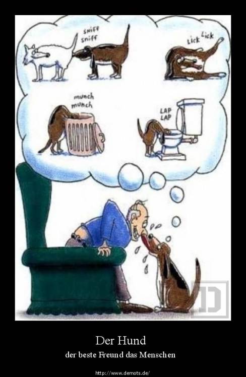 Der Hund