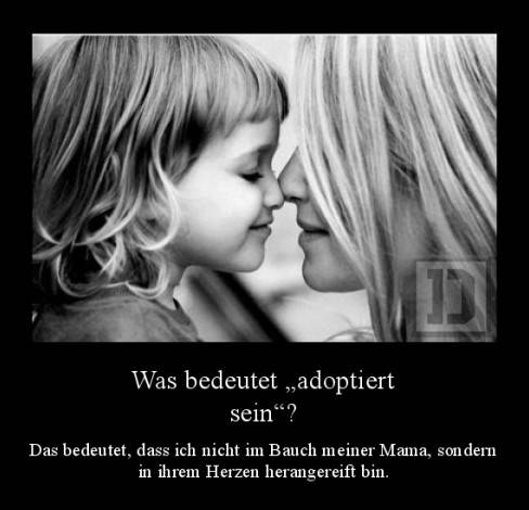 Was bedeutet „adoptiert sein“?