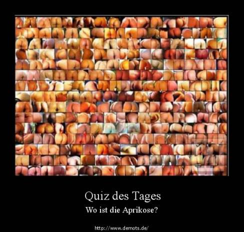 Quiz des Tages
