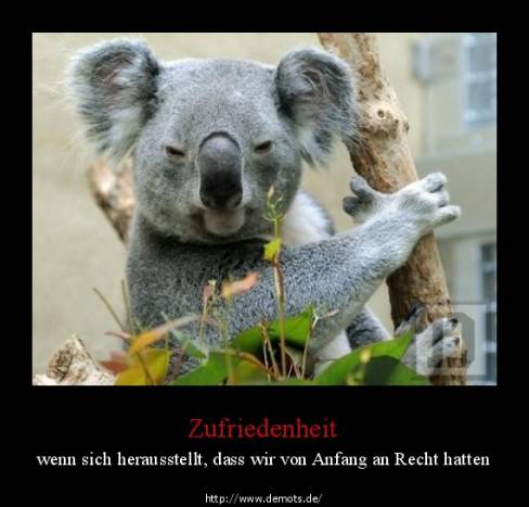 Zufriedenheit