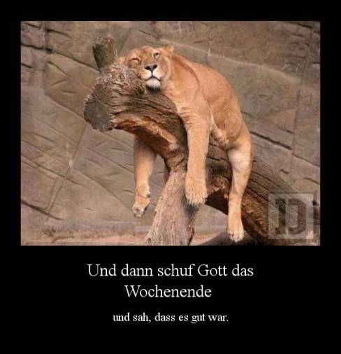Und dann schuf Gott das Wochenende