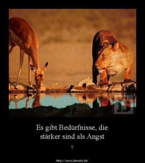 Es gibt Bedürfnisse, die stärker sind als Angst