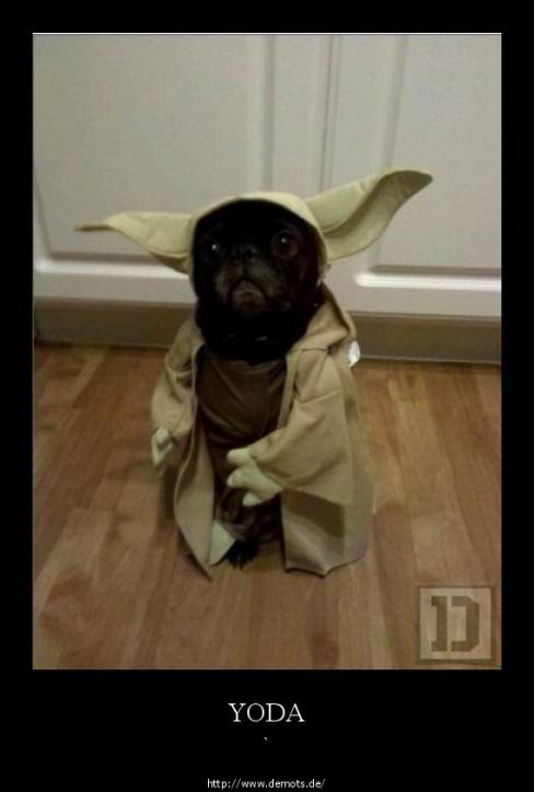 YODA