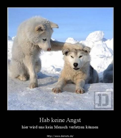 Hab keine Angst