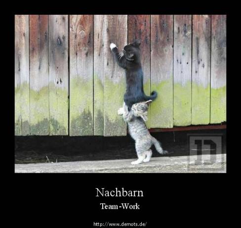 Nachbarn