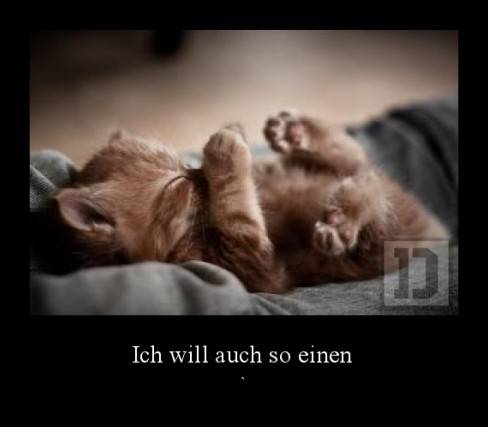 Ich will auch so einen