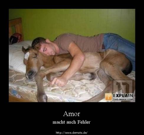 Amor