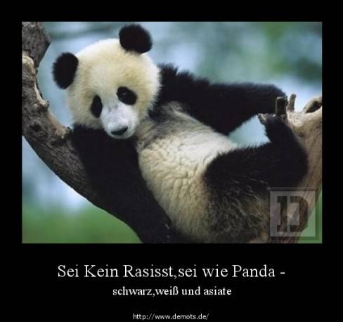 Sei Kein Rasisst,sei wie Panda -