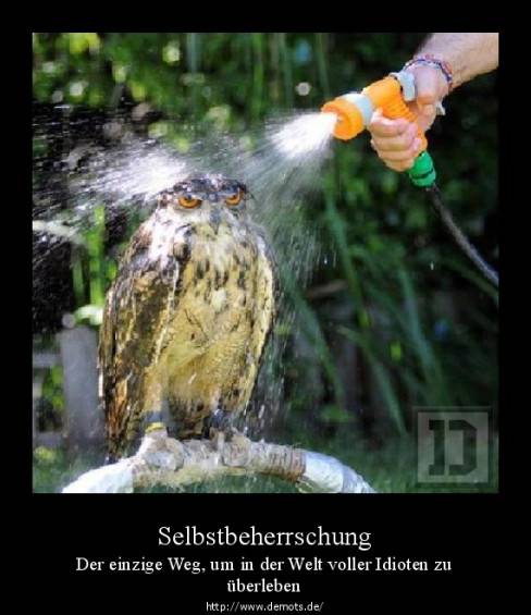 Selbstbeherrschung