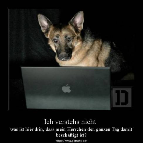 Ich verstehs nicht