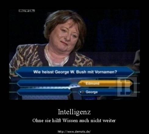 Intelligenz