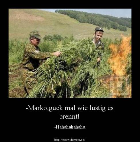 -Marko,guck mal wie lustig es brennt!