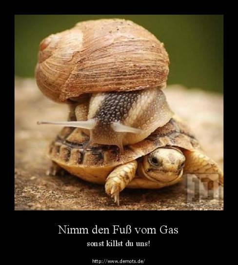 Nimm den Fuß vom Gas