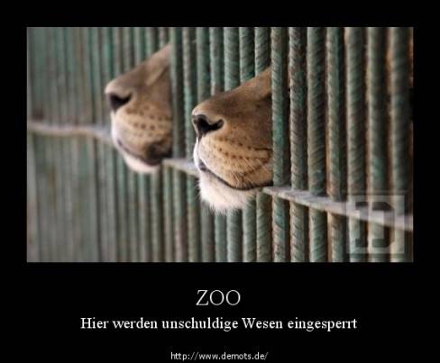 ZOO