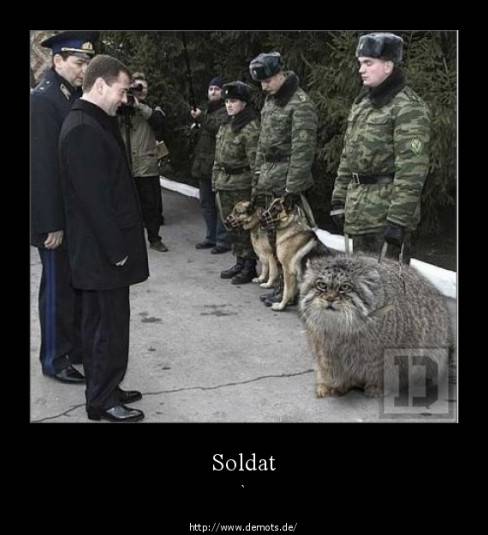 Soldat