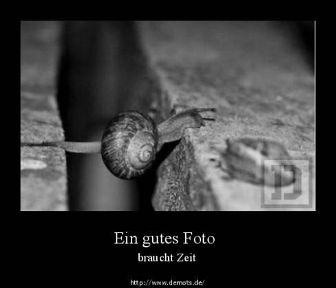 Ein gutes Foto