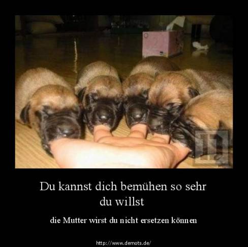 Du kannst dich bemühen so sehr du willst