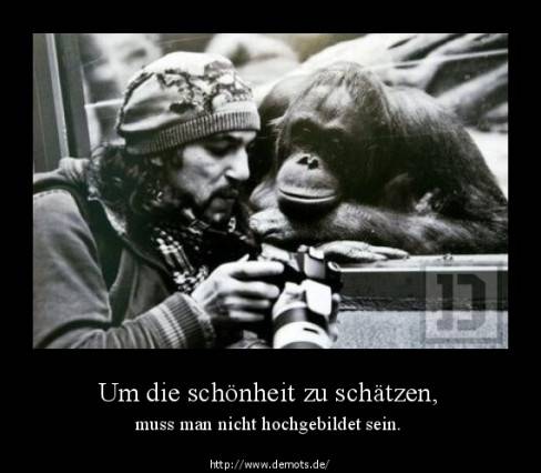 Um die schönheit zu schätzen,