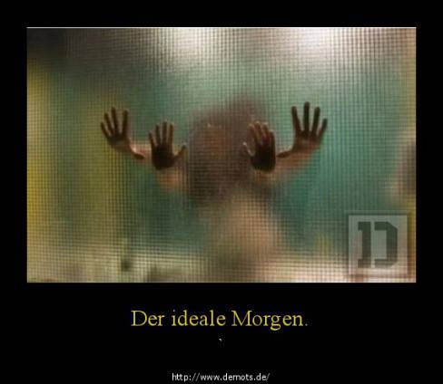 Der ideale Morgen.