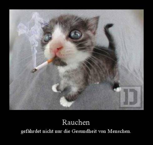 Rauchen