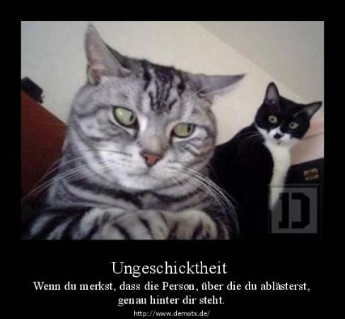 Ungeschicktheit