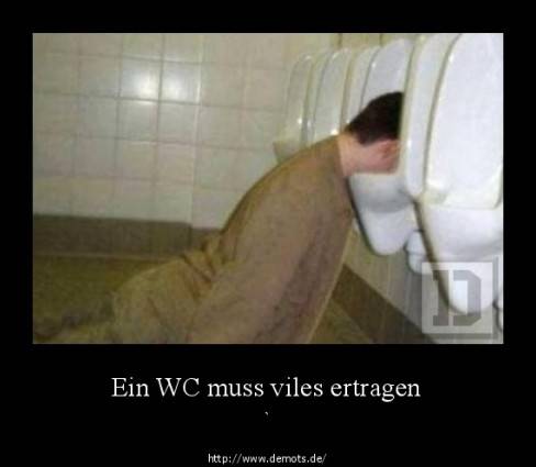 Ein WC muss viles ertragen